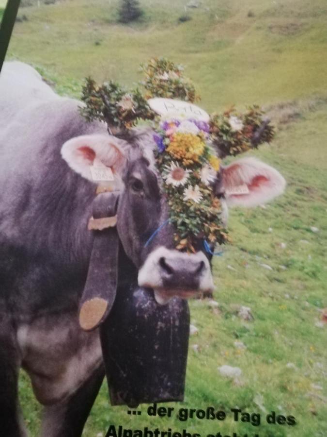 Ferienwohnung Auszeit Dornbirn Esterno foto